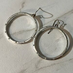 Elegant Silver Hoop Earrings